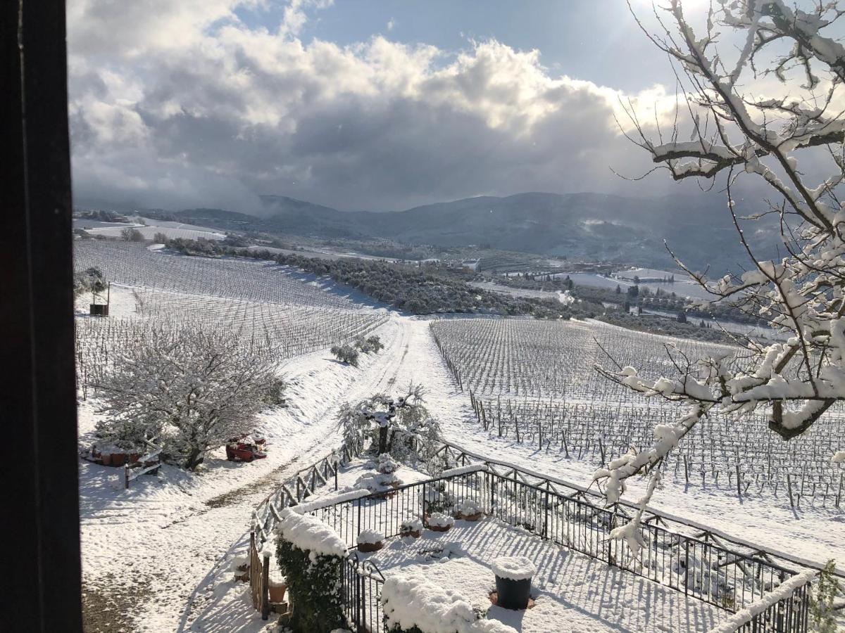 Pelago Azienda Agricola Il Poggiolinoヴィラ エクステリア 写真