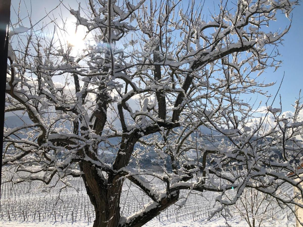 Pelago Azienda Agricola Il Poggiolinoヴィラ エクステリア 写真